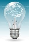 Brain in electric bulb